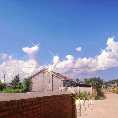 AI等机器网络请求量首超人类